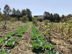 One Acre Piece of Land for Sale in Ngong, Ol Keri Near the Tarmac