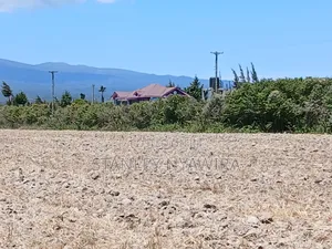 5 Acreas Narumoro on Moutain Side Near Nanyuki