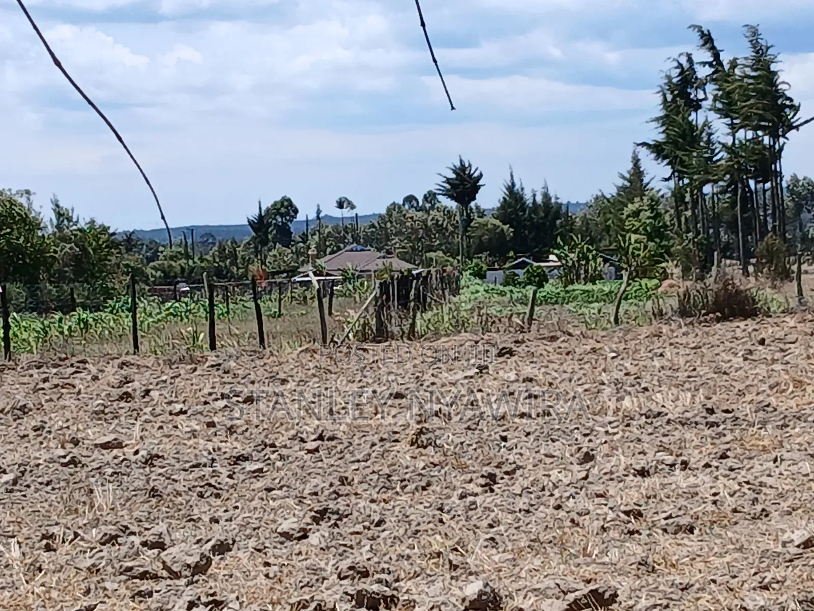 5 Acreas Narumoro on Moutain Side Near Nanyuki