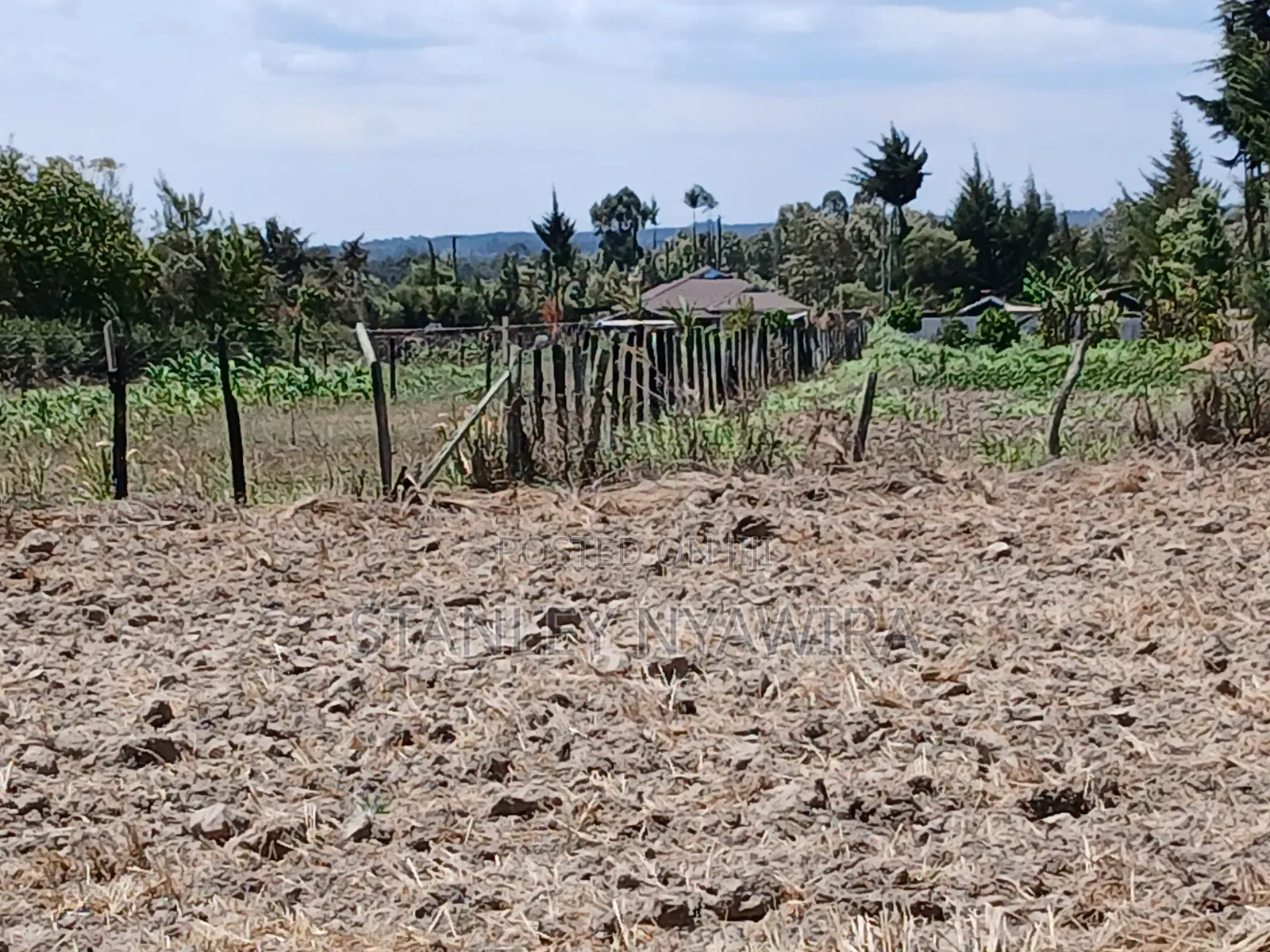 5 Acreas Narumoro on Moutain Side Near Nanyuki