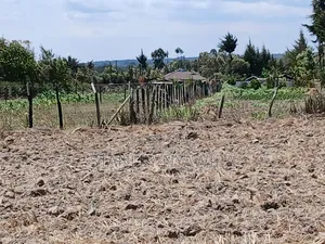 5 Acreas Narumoro on Moutain Side Near Nanyuki