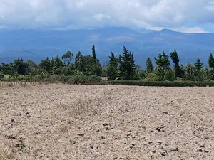 5 Acreas Narumoro on Moutain Side Near Nanyuki