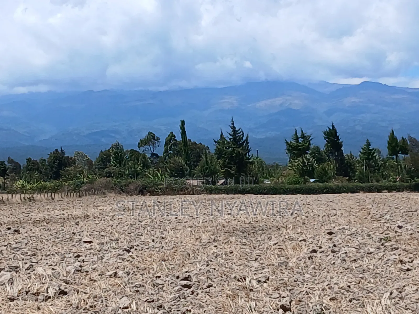 5 Acreas Narumoro on Moutain Side Near Nanyuki