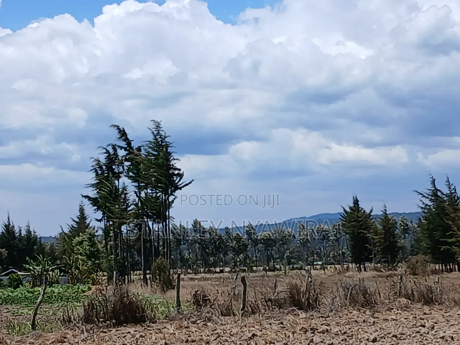 5 Acreas Narumoro on Moutain Side Near Nanyuki