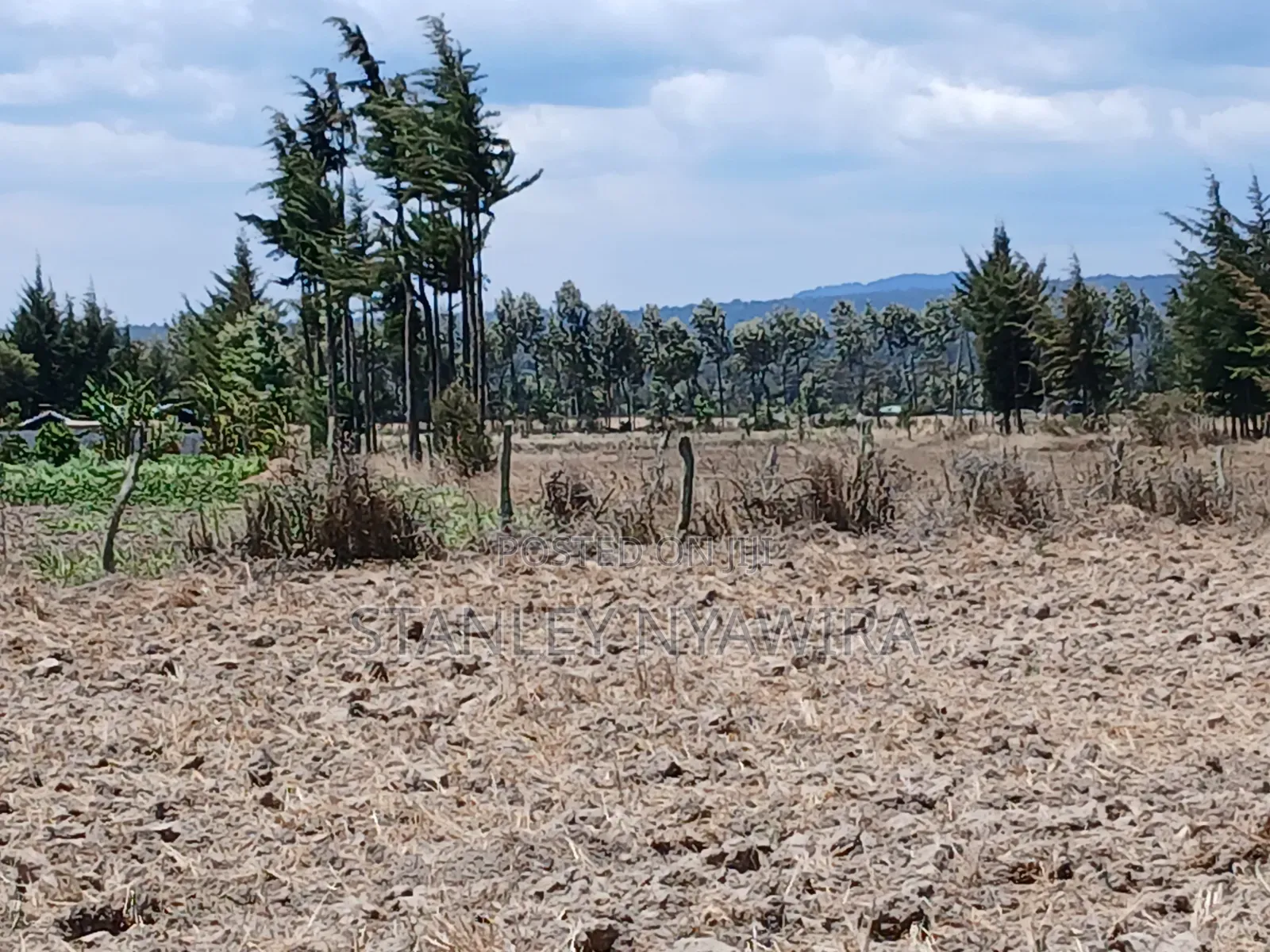 5 Acreas Narumoro on Moutain Side Near Nanyuki