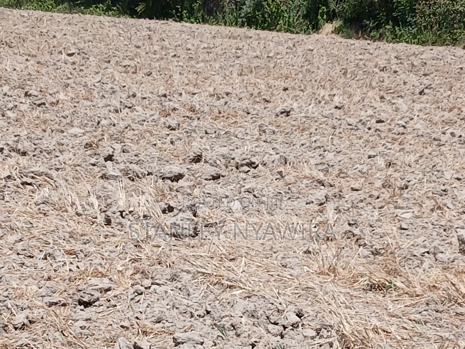 5 Acreas Narumoro on Moutain Side Near Nanyuki