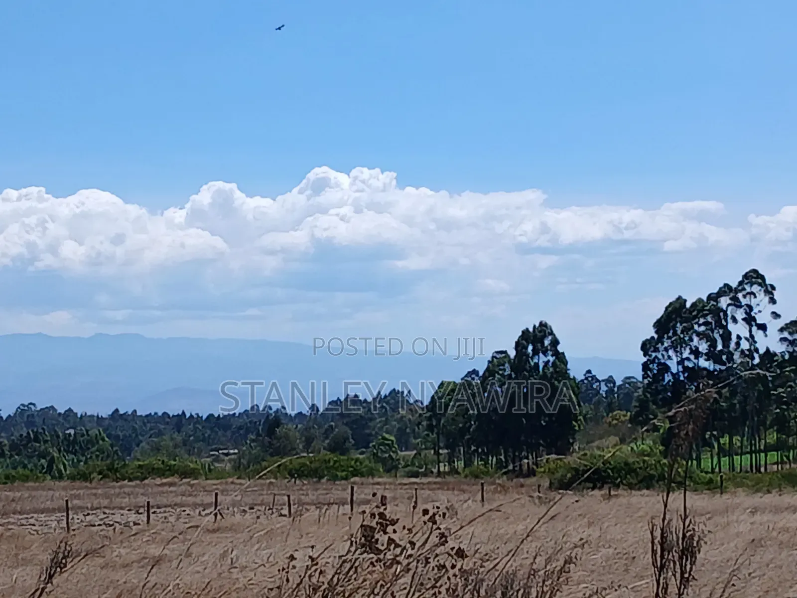 5 Acreas Narumoro on Moutain Side Near Nanyuki