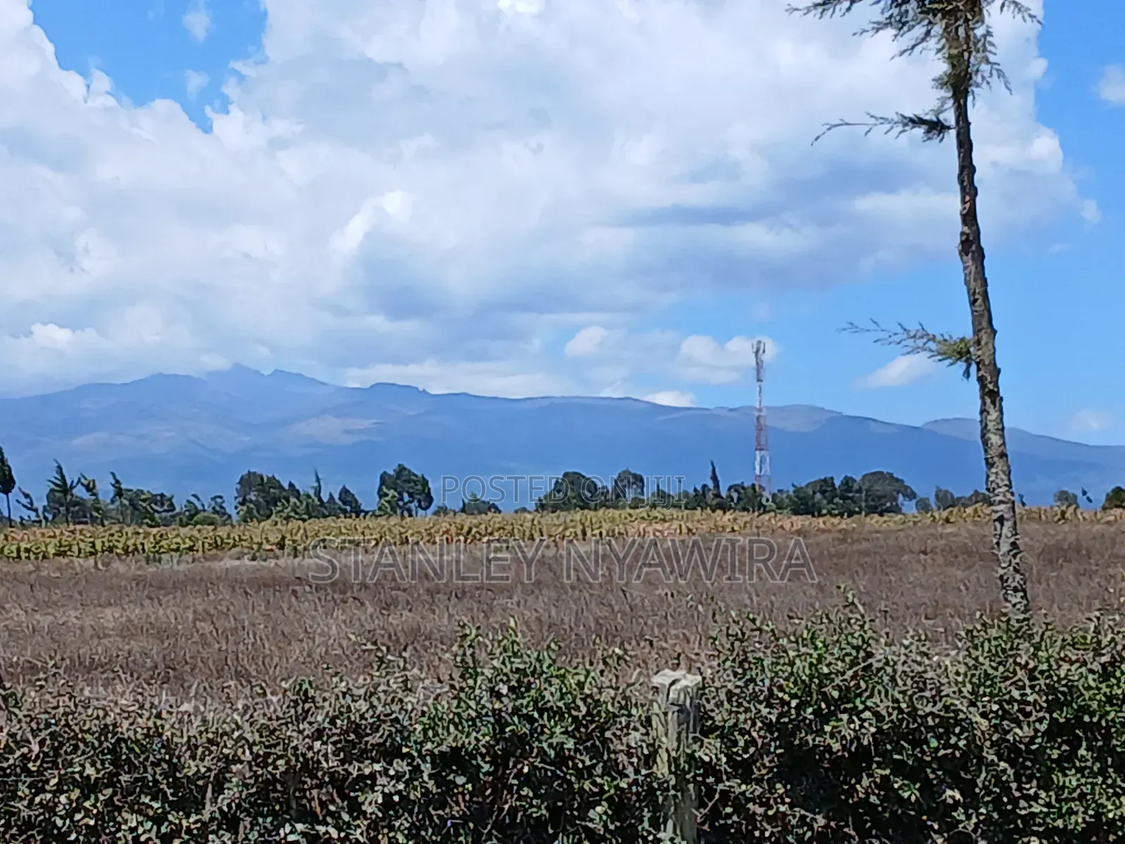 5 Acreas Narumoro on Moutain Side Near Nanyuki