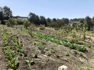 Two Acres of Land for Sale in Ngong, Ol Keri With Borehole and Farm