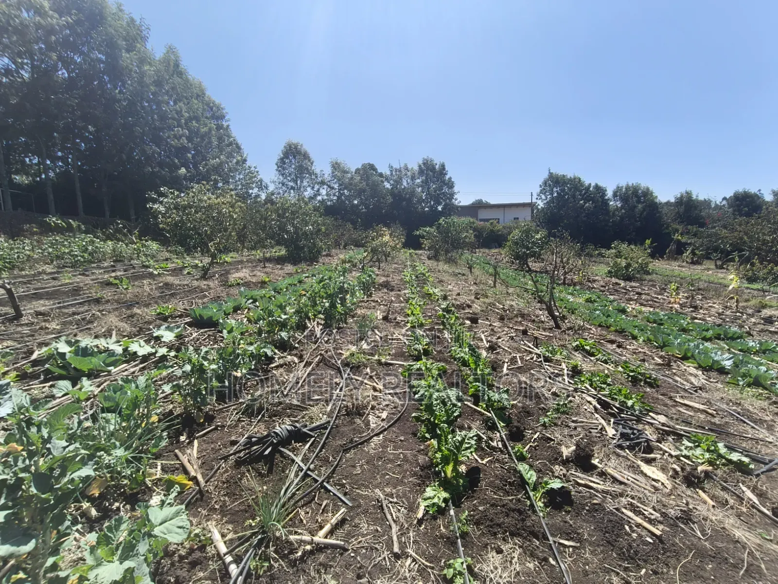 Two Acres of Land for Sale in Ngong, Ol Keri With Borehole and Farm
