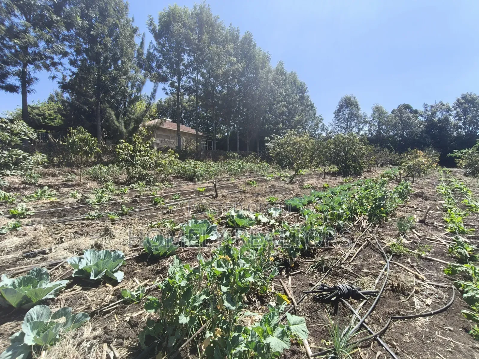 Two Acres of Land for Sale in Ngong, Ol Keri With Borehole and Farm