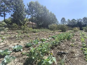 Two Acres of Land for Sale in Ngong, Ol Keri With Borehole and Farm