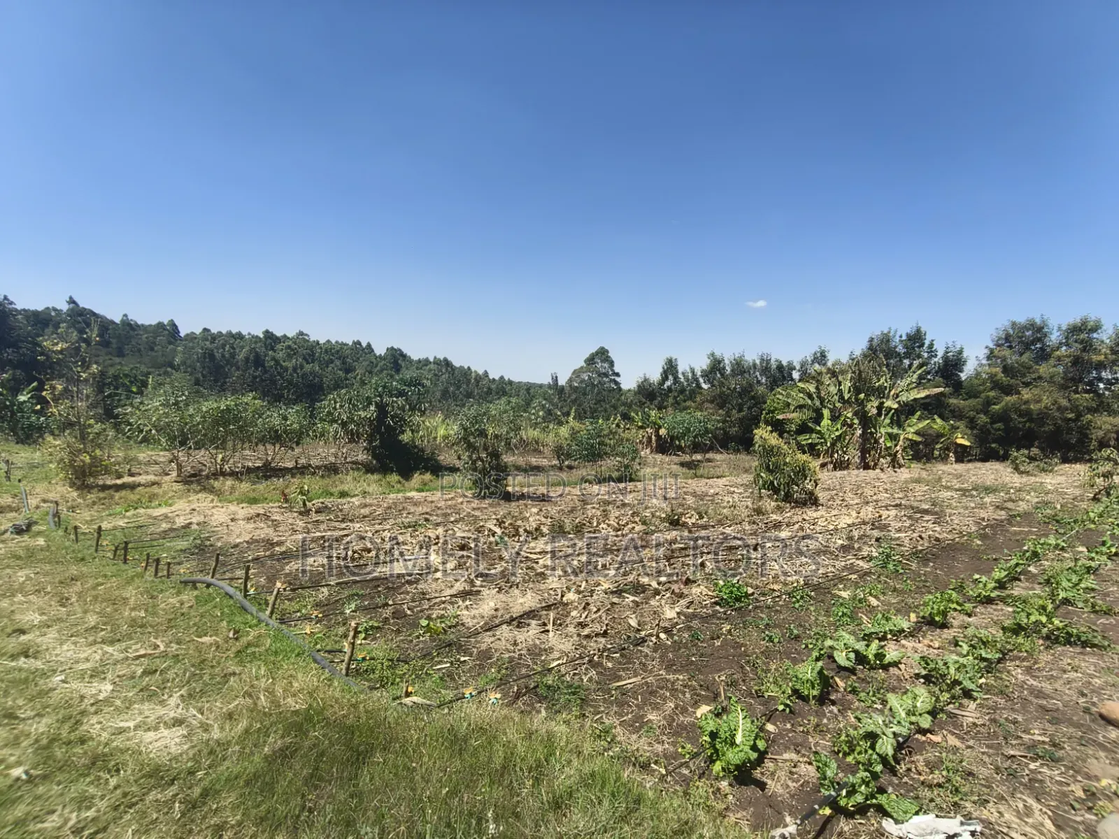 Two Acres of Land for Sale in Ngong, Ol Keri With Borehole and Farm