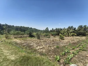 Two Acres of Land for Sale in Ngong, Ol Keri With Borehole and Farm