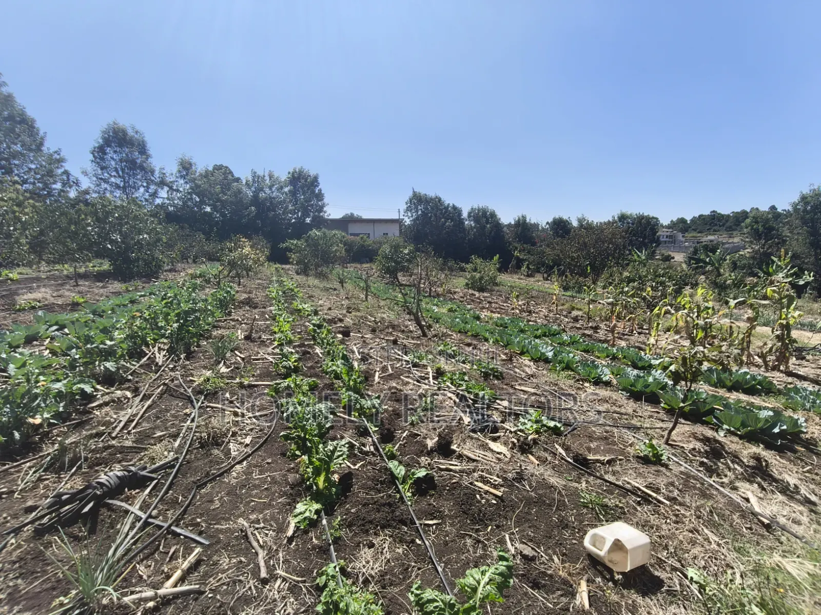 Two Acres of Land for Sale in Ngong, Ol Keri With Borehole and Farm