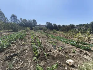Two Acres of Land for Sale in Ngong, Ol Keri With Borehole and Farm