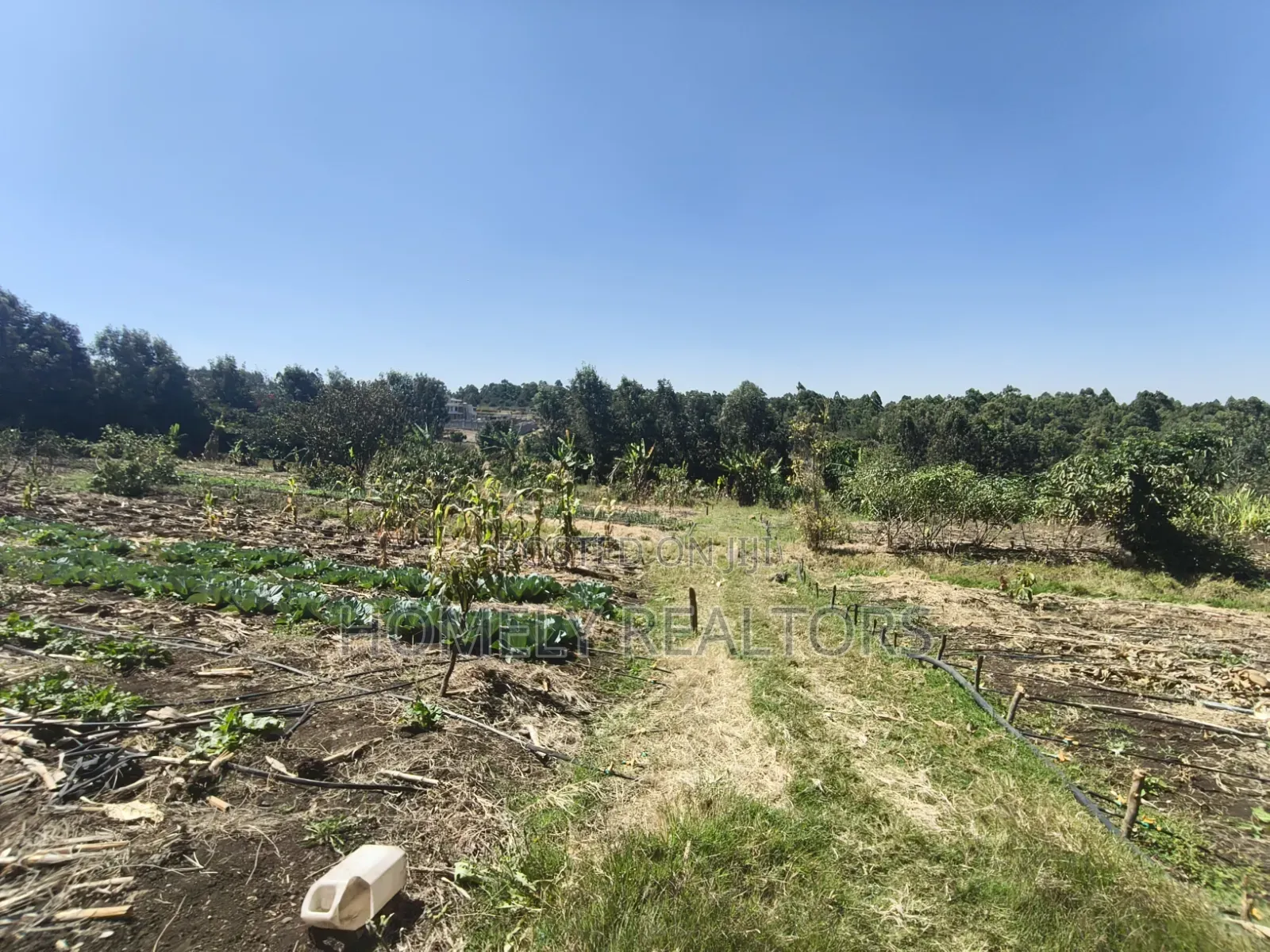 Two Acres of Land for Sale in Ngong, Ol Keri With Borehole and Farm