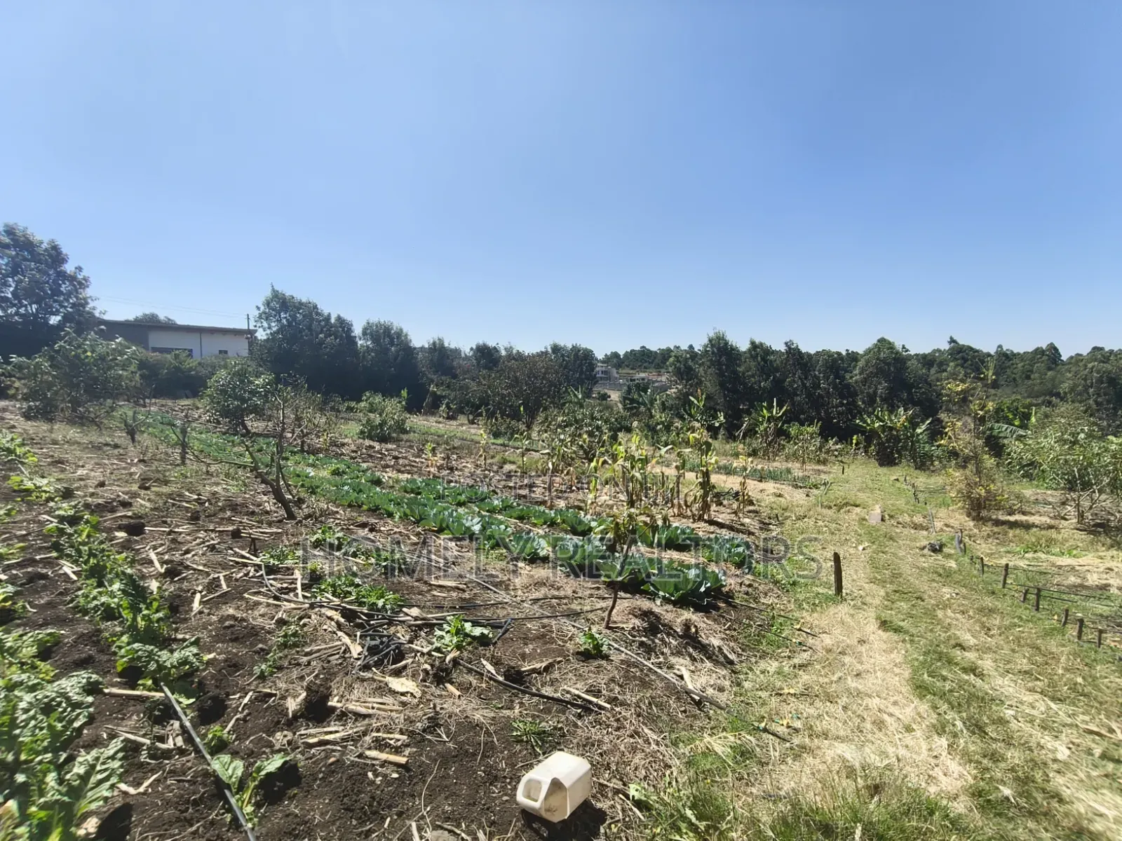 Two Acres of Land for Sale in Ngong, Ol Keri With Borehole and Farm