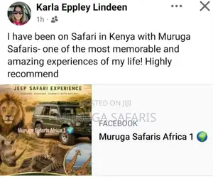 Explore Wildlife in Kenya