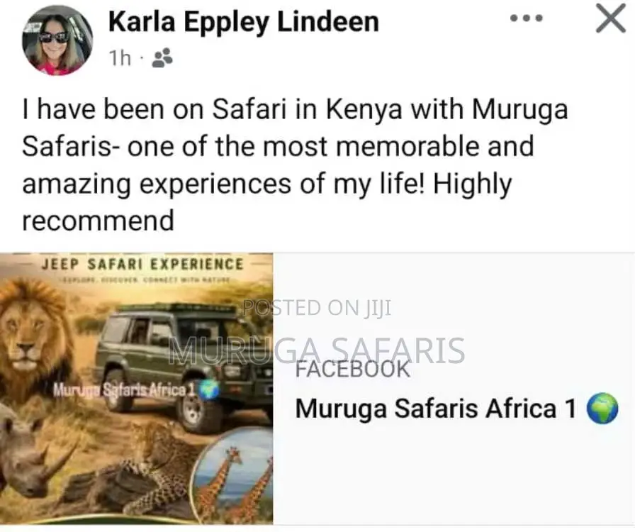 Explore Wildlife in Kenya