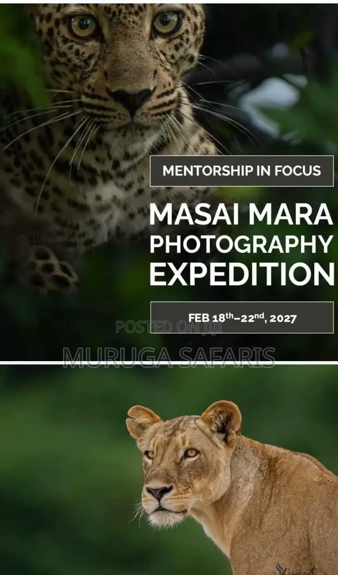 Explore Wildlife in Kenya