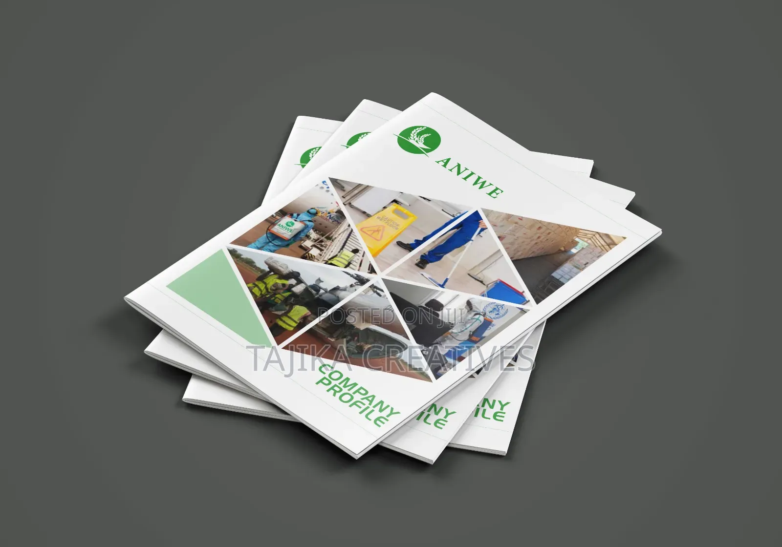A4 Company Profiles