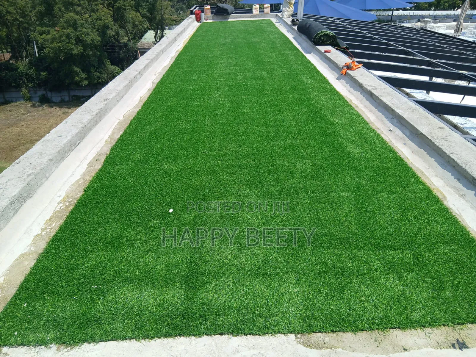  Give Your Space a Fresh, Green Makeover!