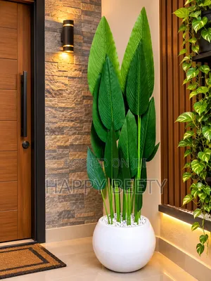 Bring Life, Freshness Elegance Into Your Space!