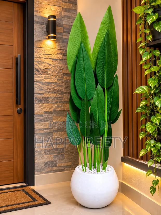Bring Life, Freshness Elegance Into Your Space!
