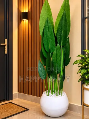Bring Life, Freshness Elegance Into Your Space!