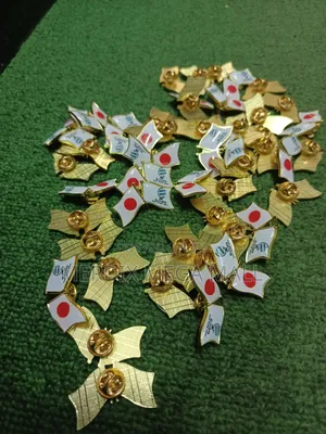 Flag Lapel Pin Double Sided 2*1.6cm,lapel Pin