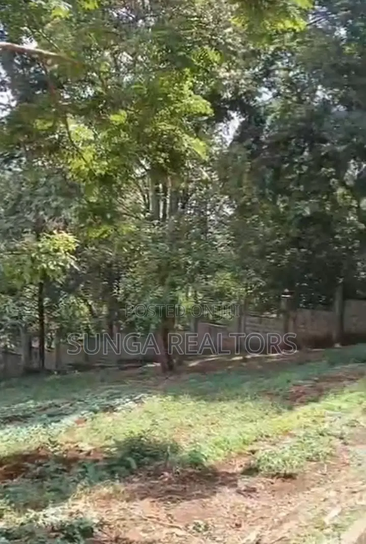 Land for Lease in Peponi Rd.
