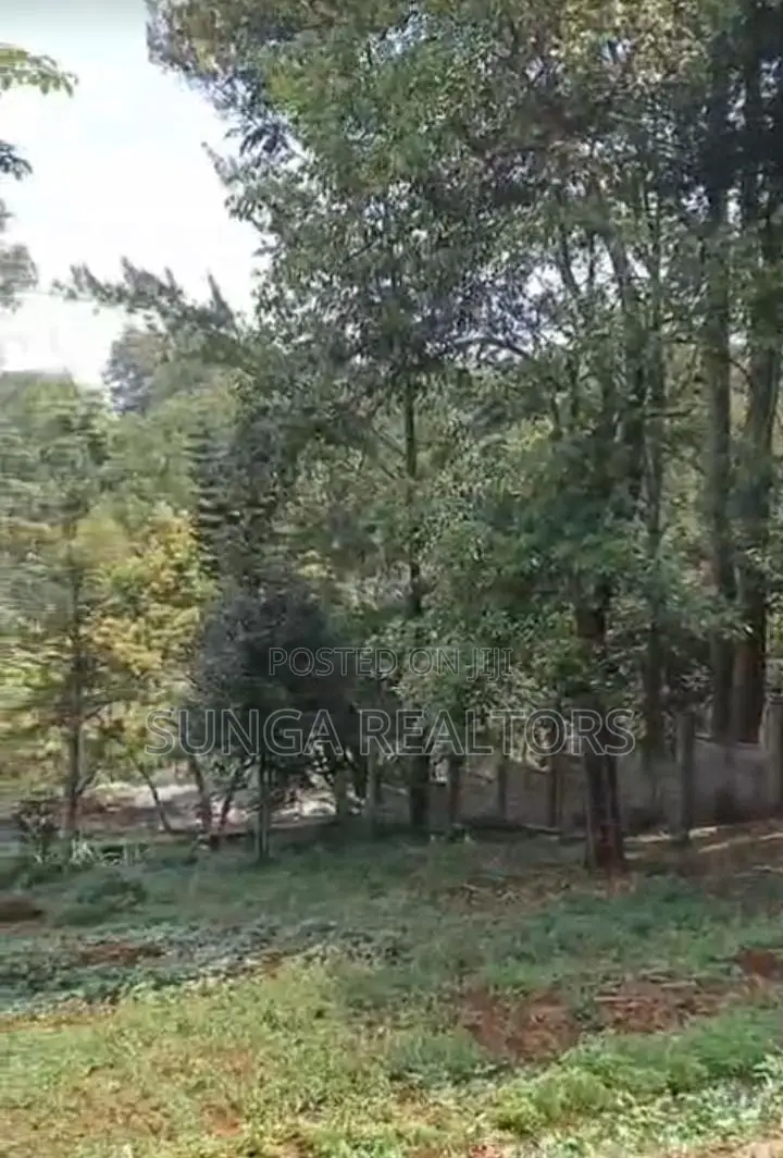Land for Lease in Peponi Rd.
