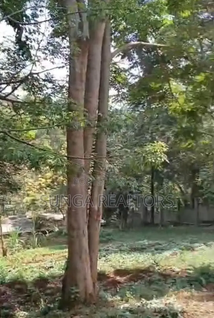 Land for Lease in Peponi Rd.