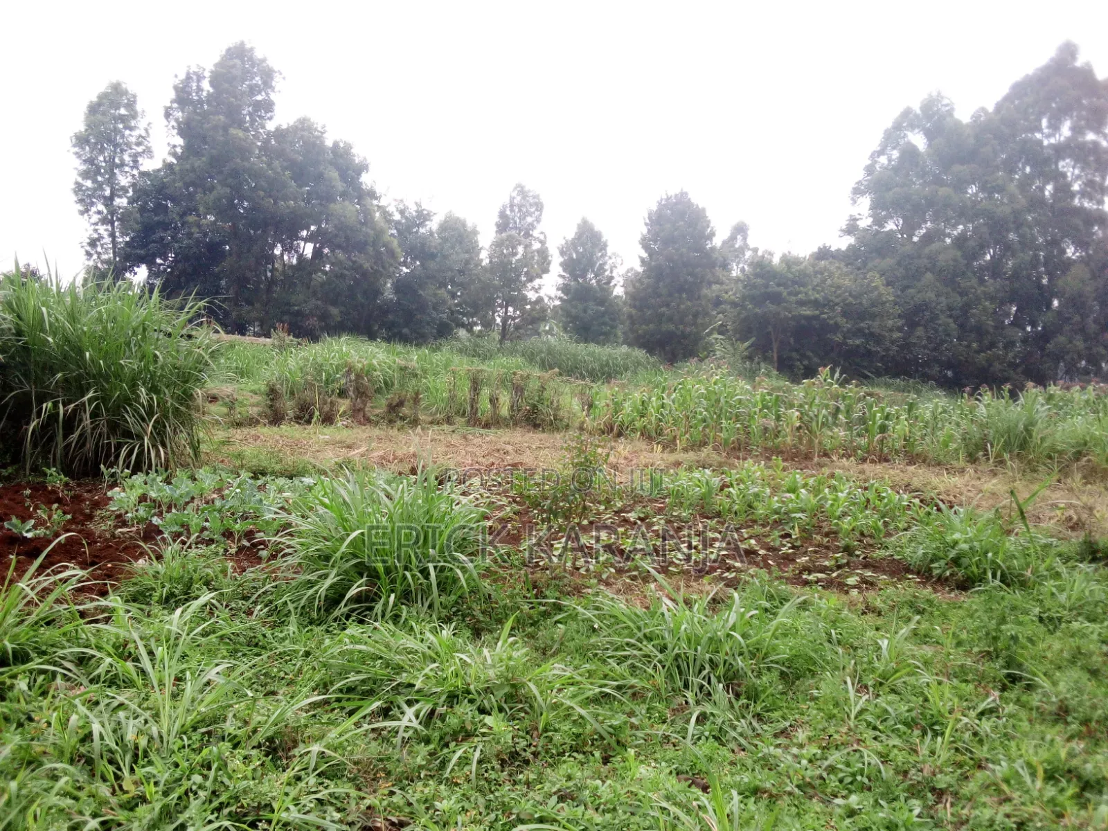 Land on Sale