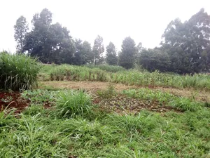 Land on Sale