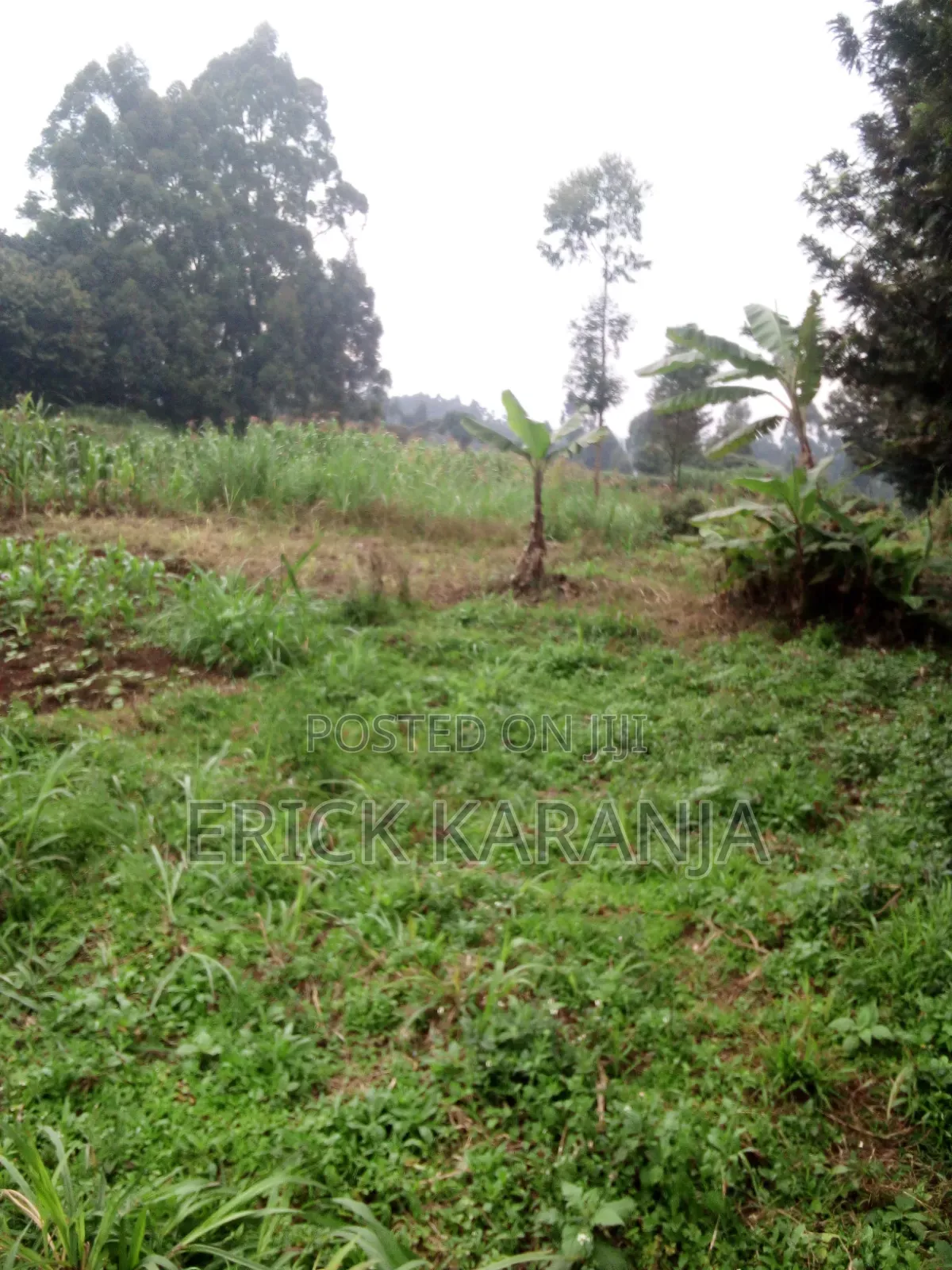 Land on Sale