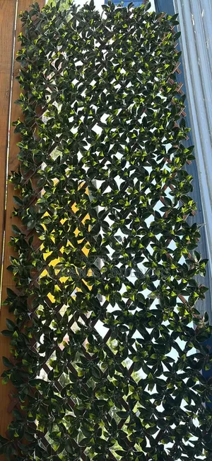 Beautifully Made With Artificial Wood at the Back With Artificialfence