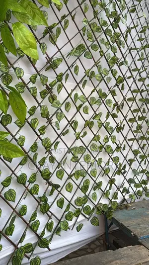Melon Themed Leaves Inclusivity in Expandable Privacy Fence