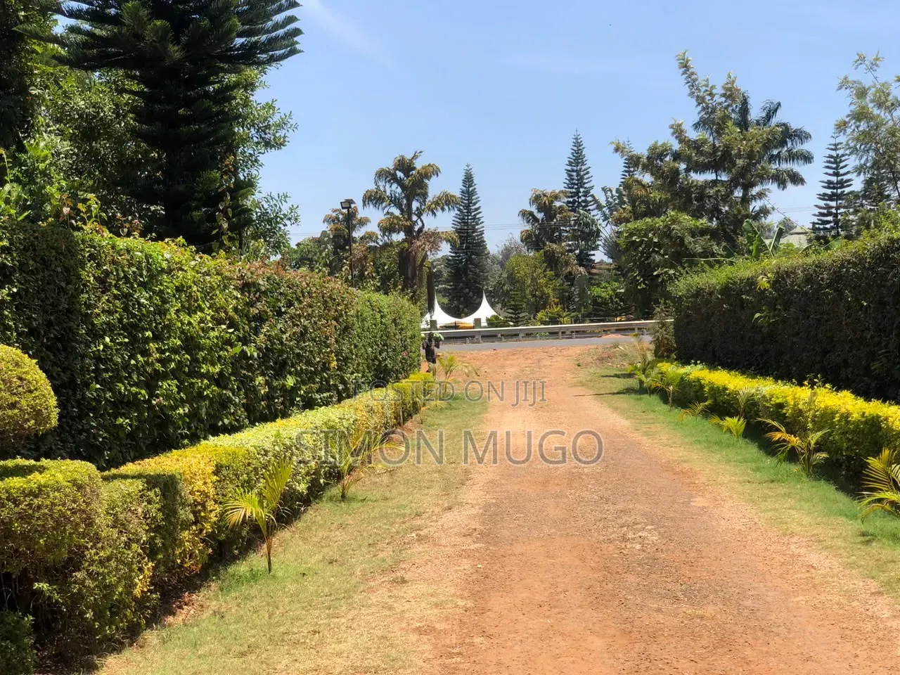 Kibirigwi Kiangwaci 40 X 120 Plot 50 Metres From the Main Highway L