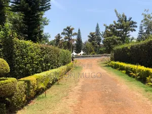 Kibirigwi Kiangwaci 40 X 120 Plot 50 Metres From the Main Highway L