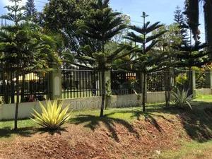 Kibirigwi Kiangwaci 40 X 120 Plot 50 Metres From the Main Highway L