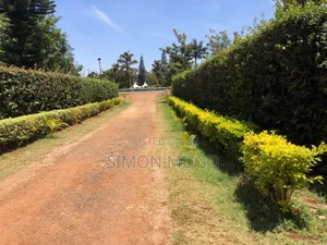 Kibirigwi Kiangwaci 40 X 120 Plot 50 Metres From the Main Highway L
