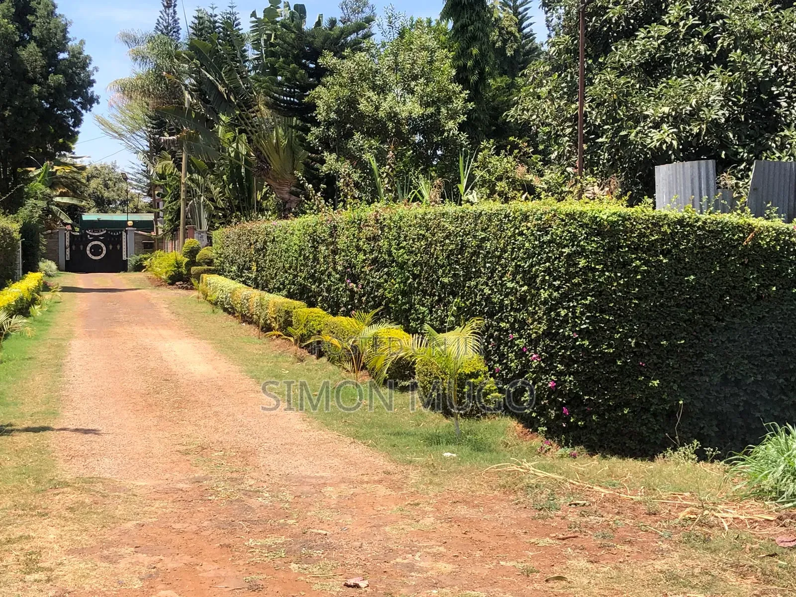 Kibirigwi Kiangwaci 40 X 120 Plot 50 Metres From the Main Highway L