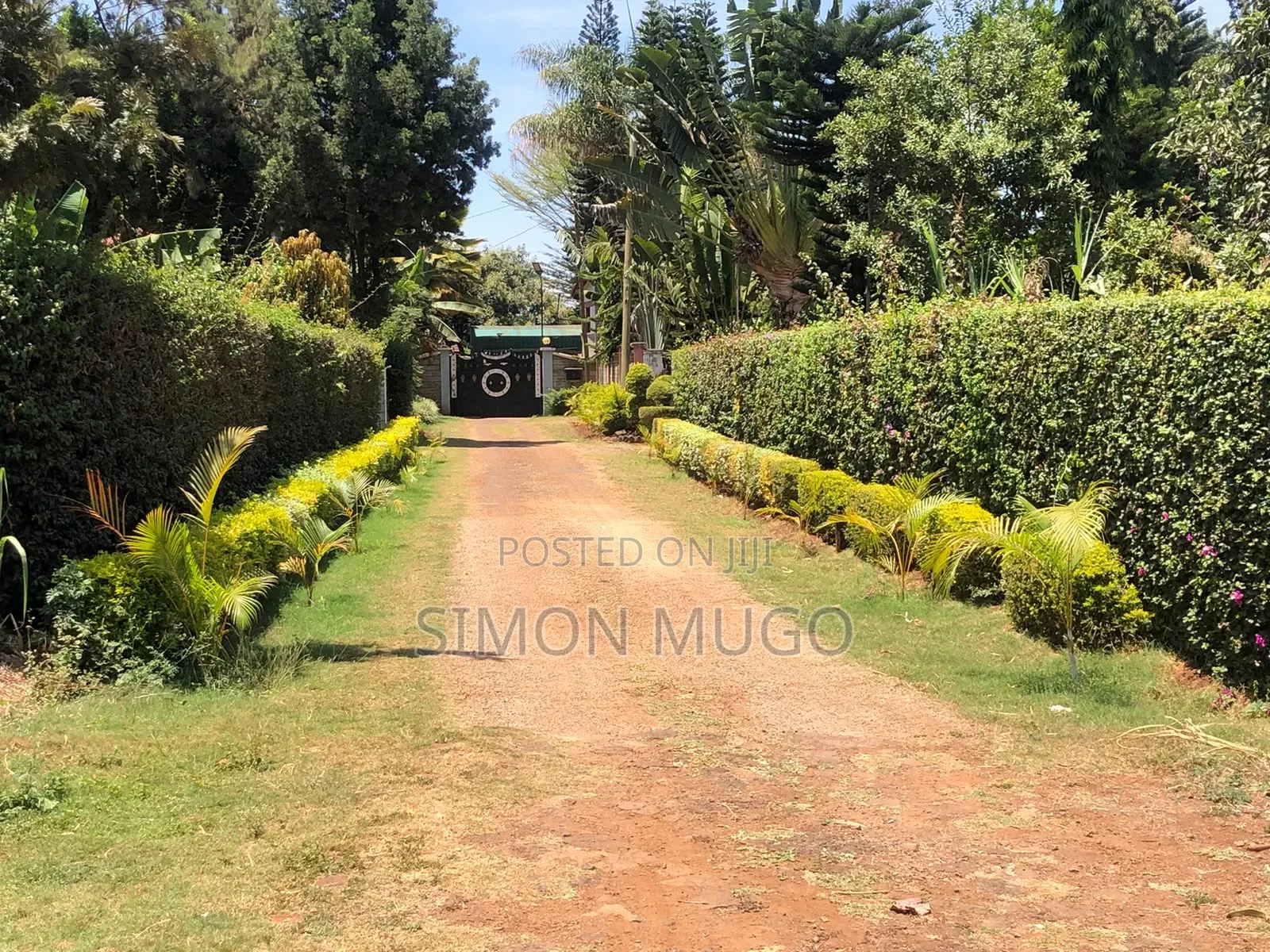 Kibirigwi Kiangwaci 40 X 120 Plot 50 Metres From the Main Highway L