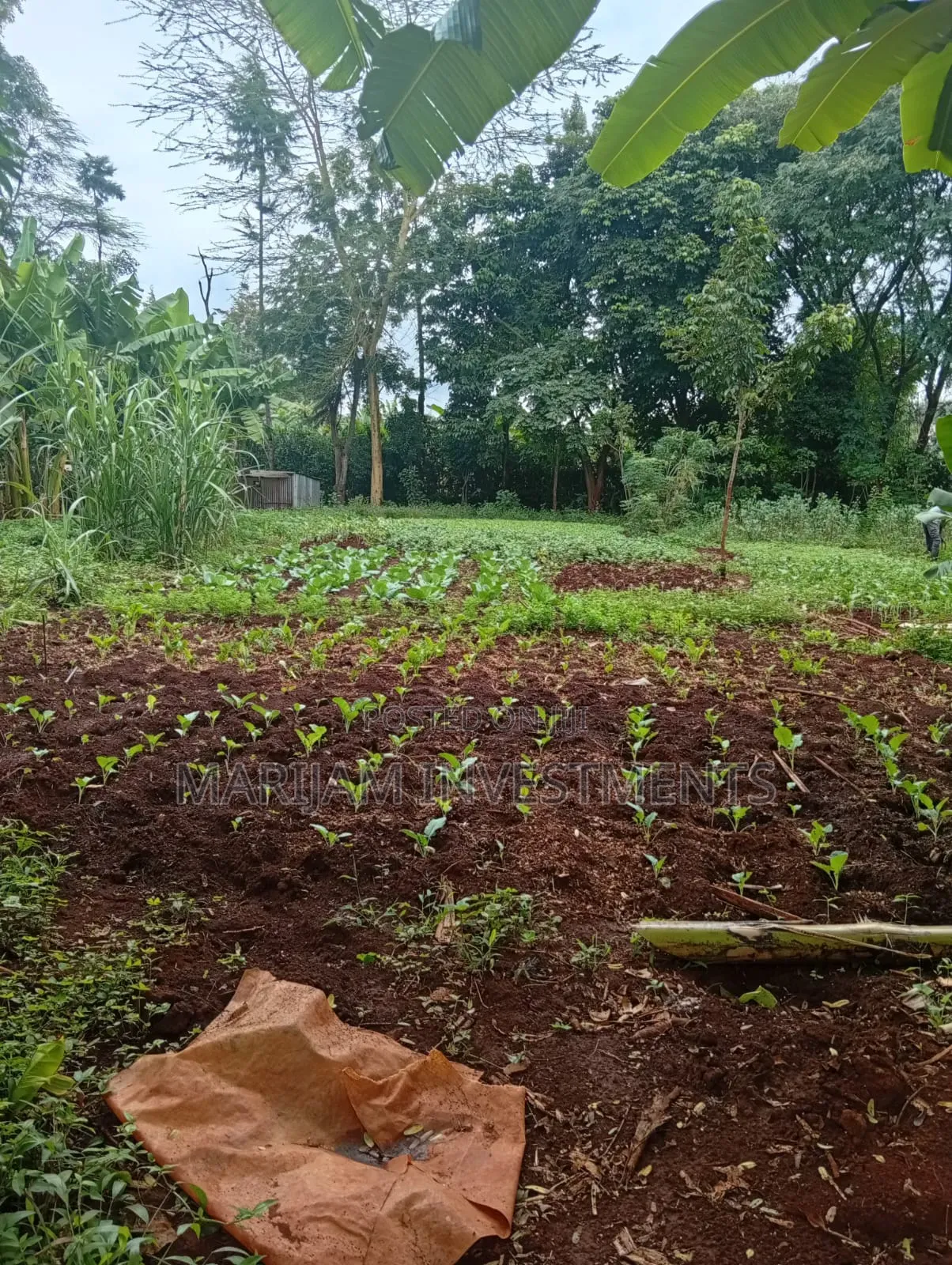1/2 Acre Residential Plot Kiambu Gated