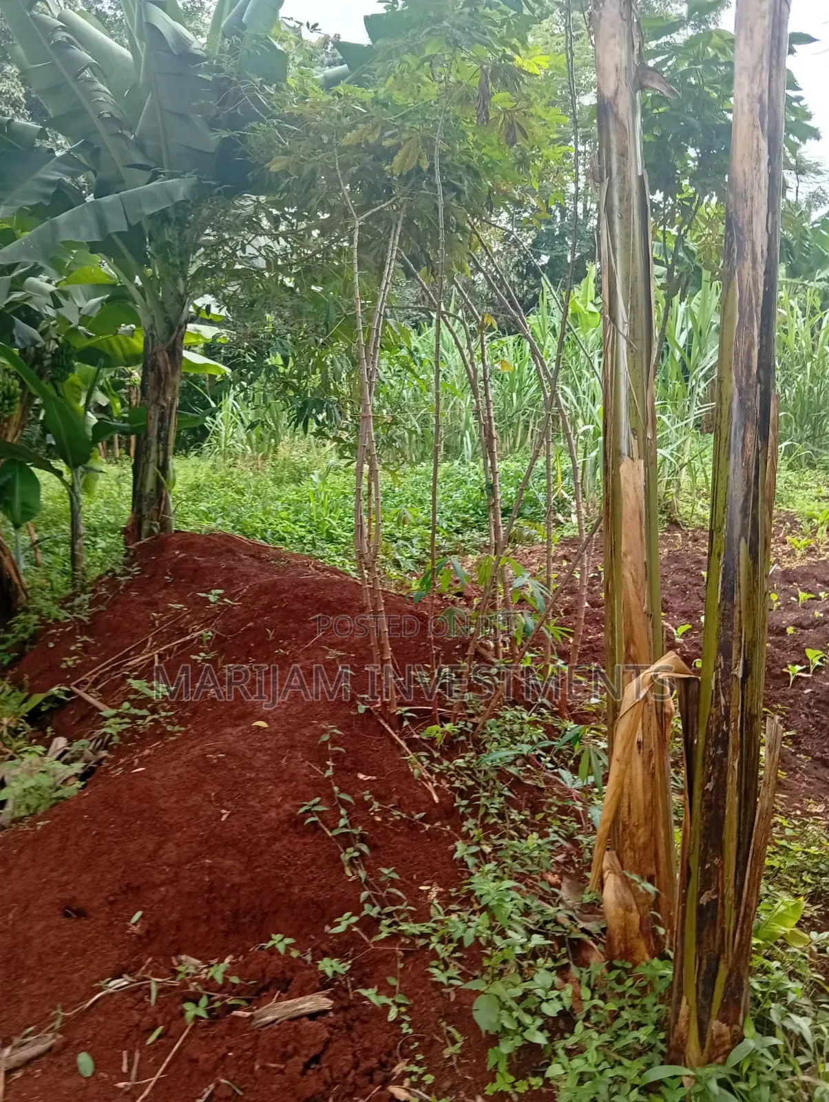1/2 Acre Residential Plot Kiambu Gated