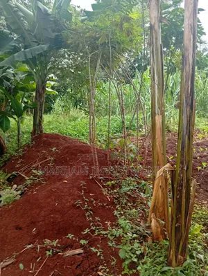 1/2 Acre Residential Plot Kiambu Gated