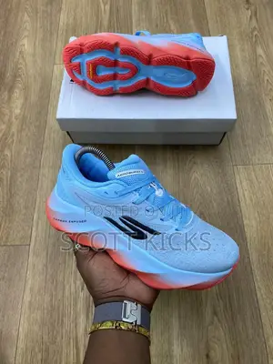 Sketcher Sneakers