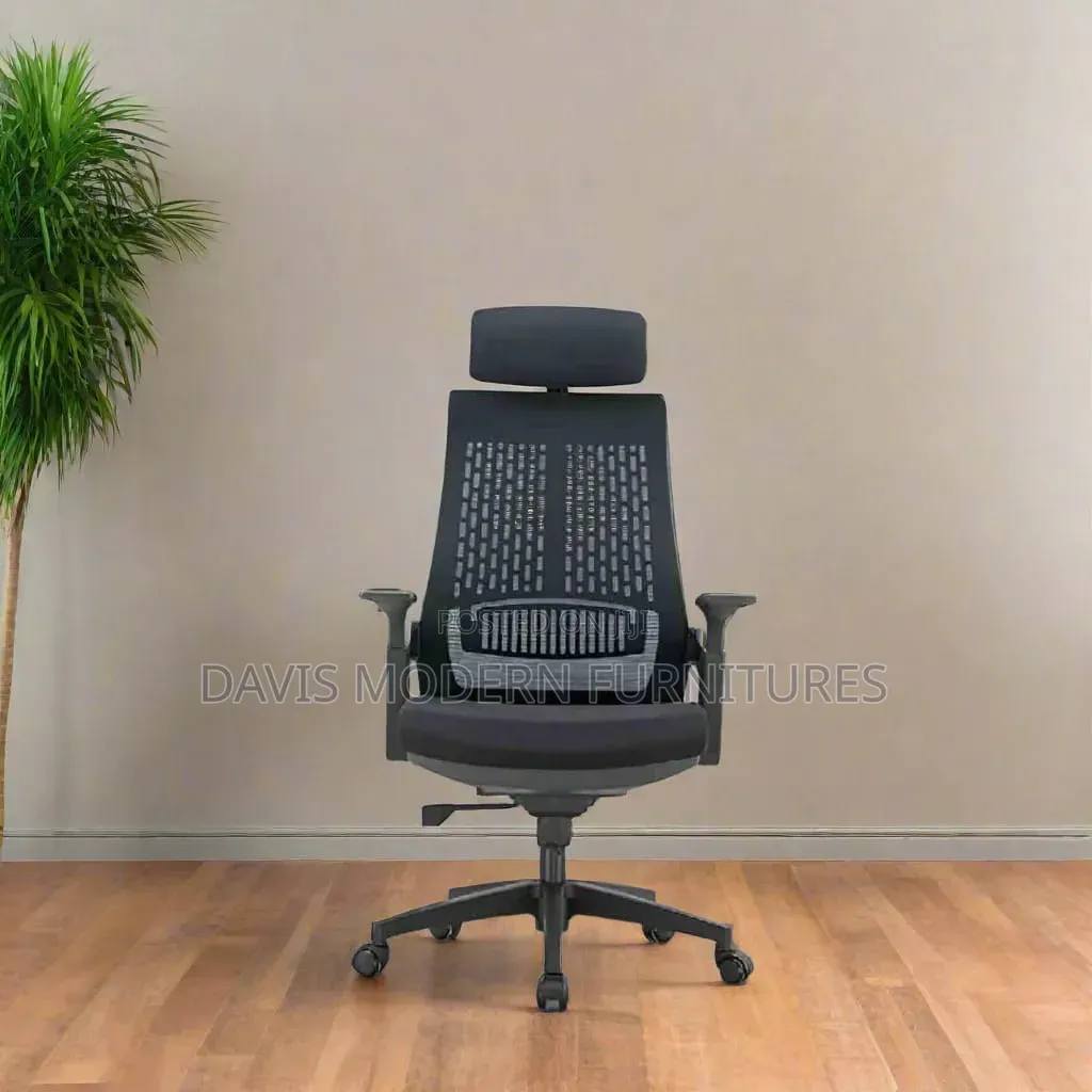 Executive Ergonomic Office Chair